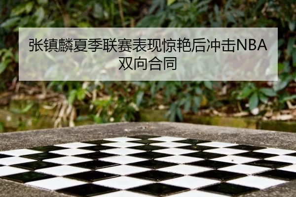 张镇麟夏季联赛表现惊艳后冲击NBA双向合同